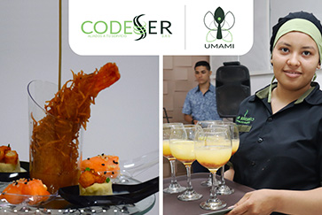 CODESER MAYO 17